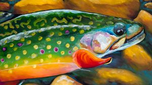 Brookie