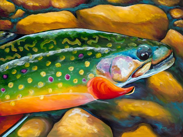 Brookie