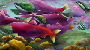 Sockeye Run