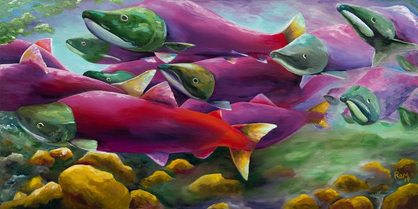 Sockeye Run