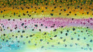 Rainbow Brook Trout Flank