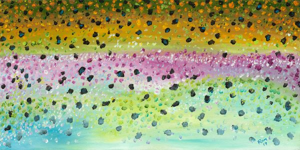 Rainbow Brook Trout Flank