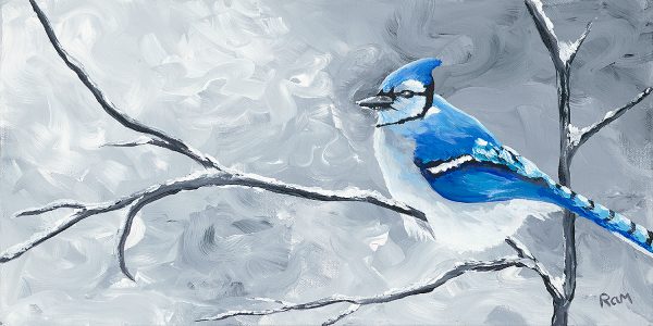 Blue Jay