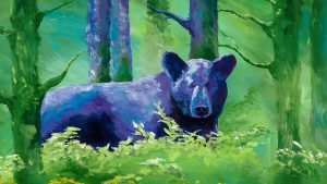 Purple Bear