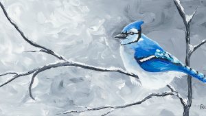Blue Jay Original Size 20"x10"