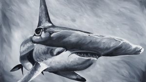 Hammerhead Original Size 48"x36"