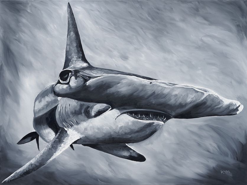 Hammerhead